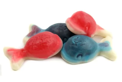 Gummy Whales